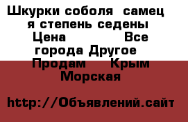 Шкурки соболя (самец) 1-я степень седены › Цена ­ 12 000 - Все города Другое » Продам   . Крым,Морская